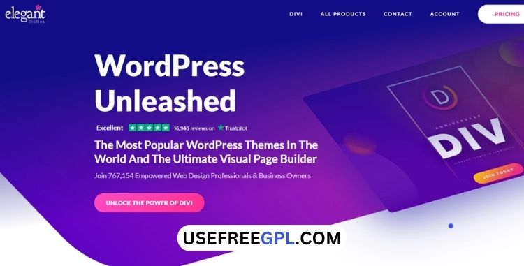 Divi Theme
